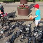 bulevardul stefan porumbei iasi