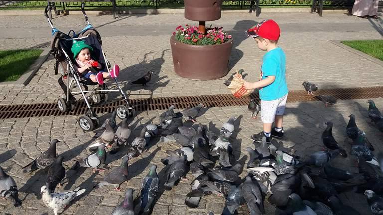 bulevardul stefan porumbei iasi