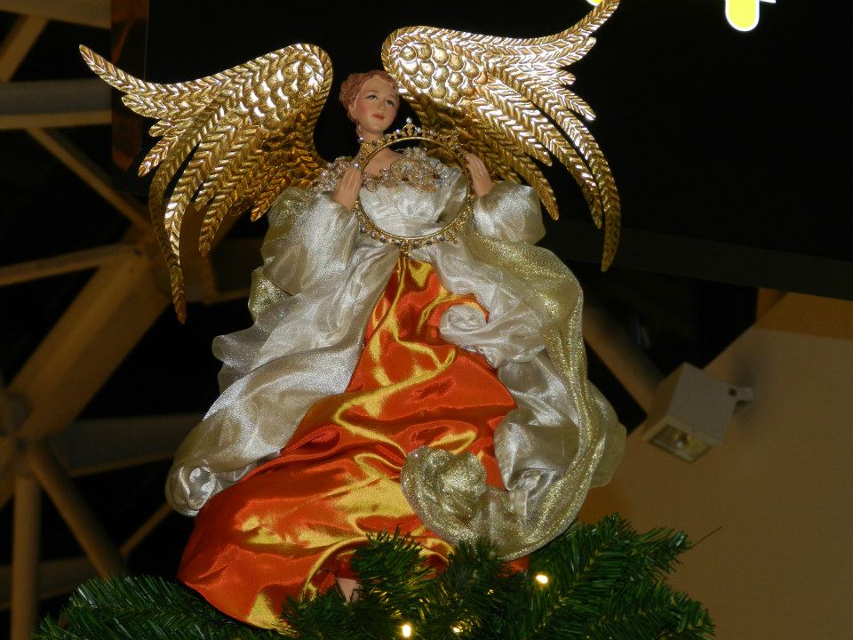 548734_400276586723083_1063324400_n