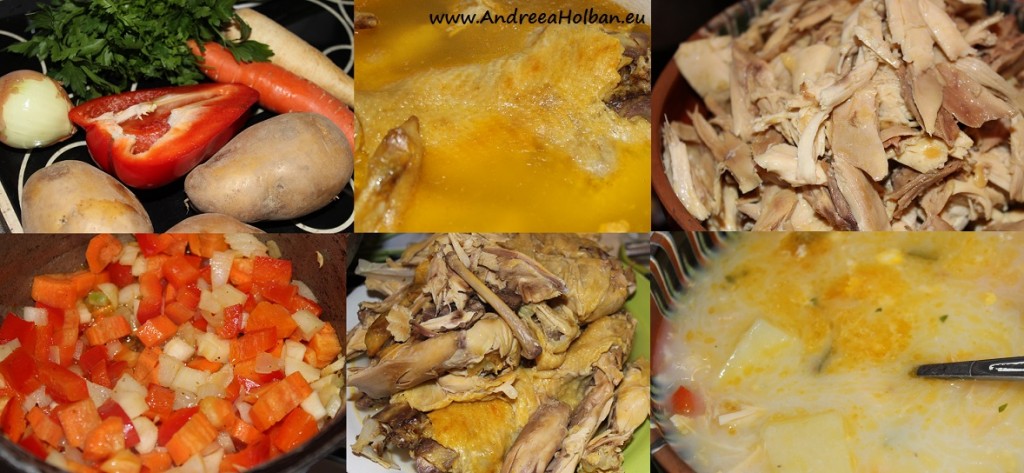 puiul gospodar bio morandi ciorba radauteana