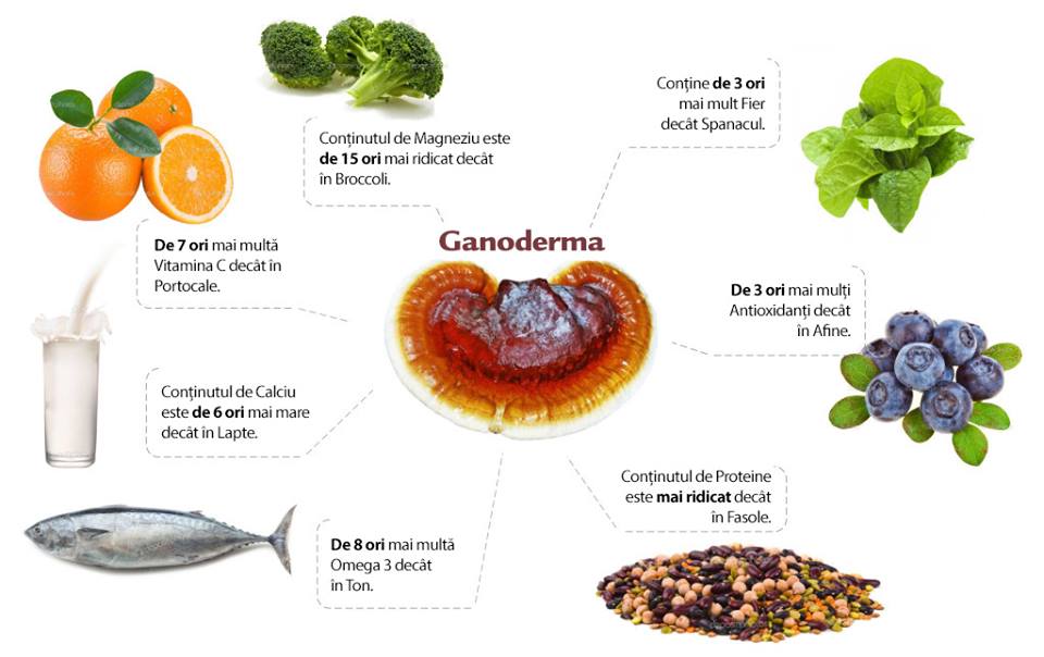 ganoderma