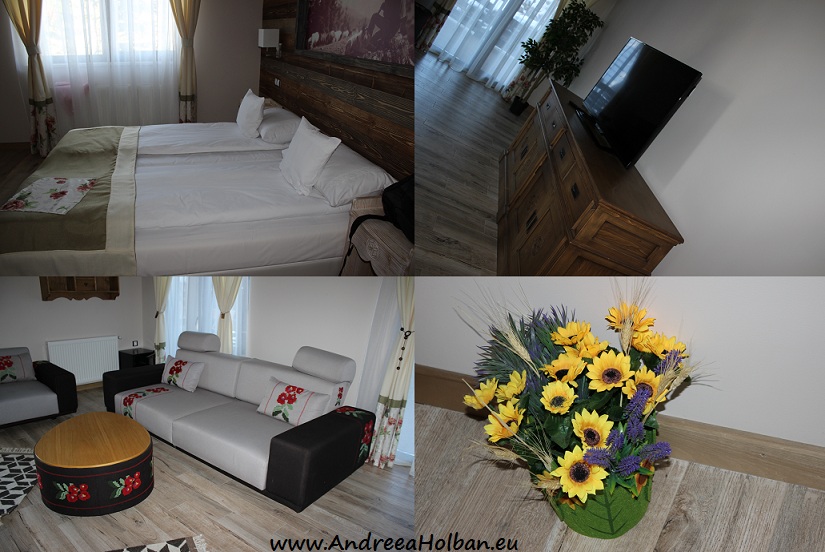 pensiunea-lidana-vama-suceava-1