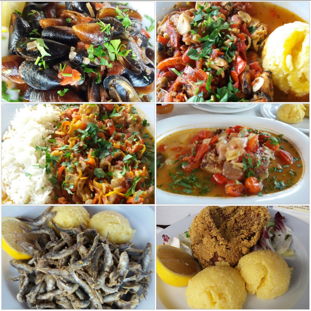 Meniu sat pescaredc venus