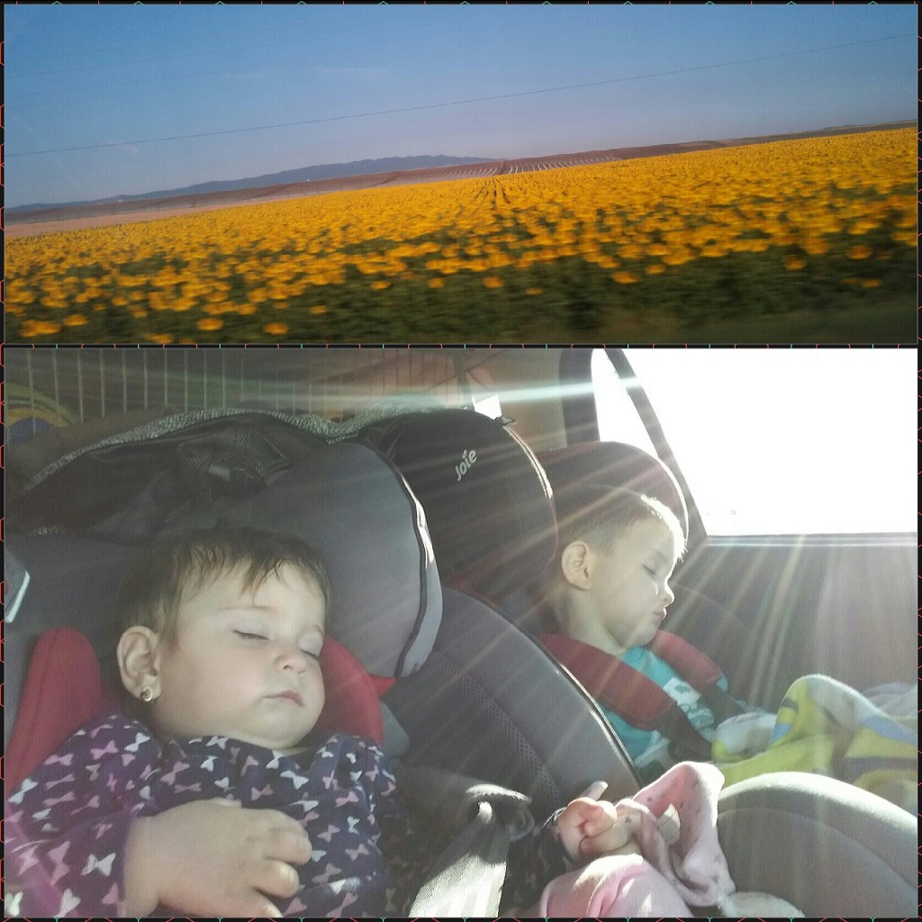 Drum spre mare cu prichindei