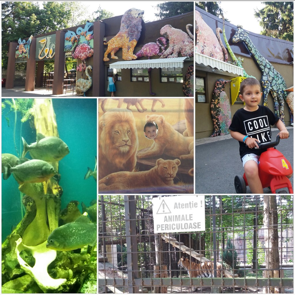 Gradina zoologica baneasa