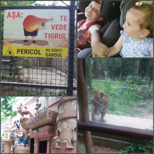 Holbanei la zoo baneasa