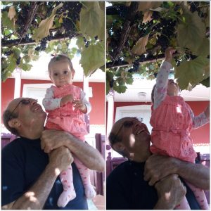 Bianca la cules de struguri